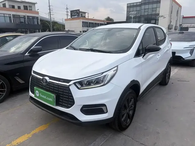 BYD Yuan New Energy 2019 EV535 Smart Connected Trend Leader Type