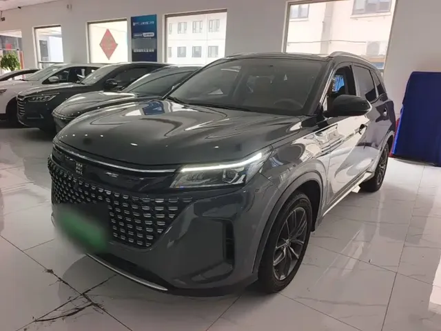 Landian E5 2024 Glory Edition 100KM Comfort Type 7-Seater