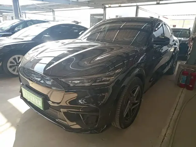 Ford Mustang Mach-E 2021 GT
