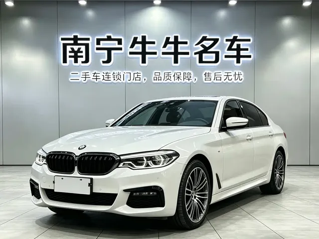 BMW 5 Series 2019 530Li Premium M Sport Package