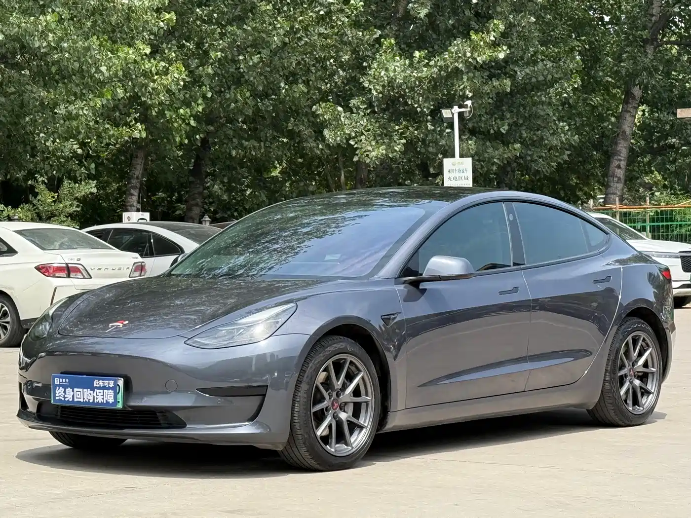 Tesla Model 3 2021 Standard Range Rear-Wheel Drive Upgrade 3D6