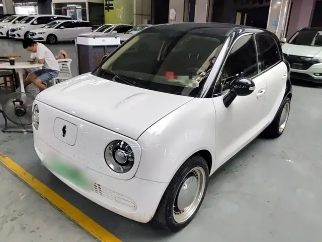 Ora Black Cat 2019 310km Fun Edition