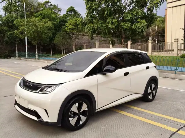 BYD Dolphin 2023 420km Freedom Edition