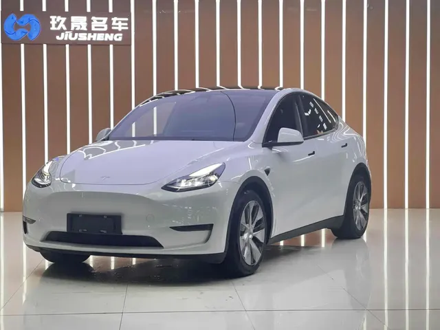Tesla Model Y 2021 Standard Range Rear-Wheel Drive