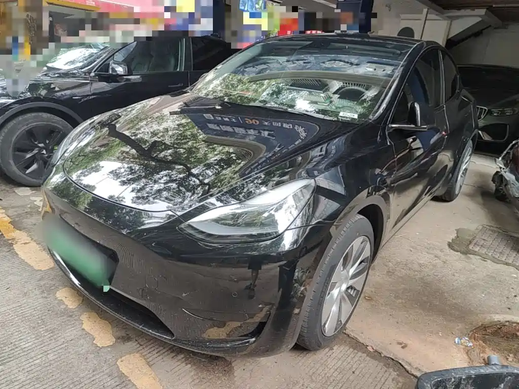 Tesla Model Y 2022 Rear-Wheel Drive Version