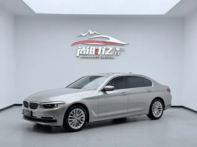BMW 5 Series 2019 530Li Leading Luxury Package