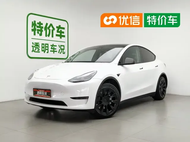 Tesla Model Y 2022 Rear-Wheel Drive Version