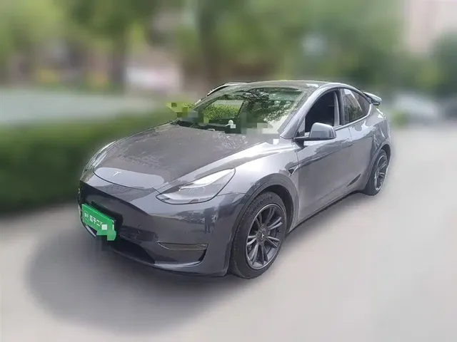 Tesla Model Y 2021 Model Long Range AWD