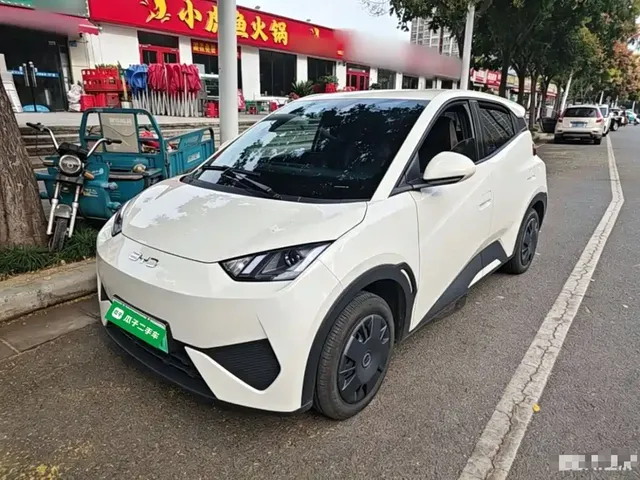 BYD Seagull 2025 Smart Drive Edition 305km Vitality Version