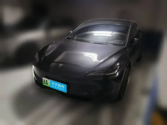 Tesla Model 3 2025 Model Rear-Wheel Drive Edition