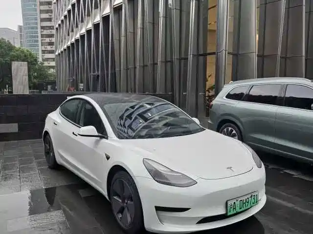 Tesla Model 3 2021 Standard Range Rear-Wheel Drive Upgrade 3D6
