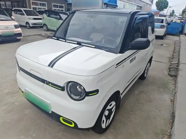 Geely Galaxy Panda 2025 Panda mini 210km Vitality Bear