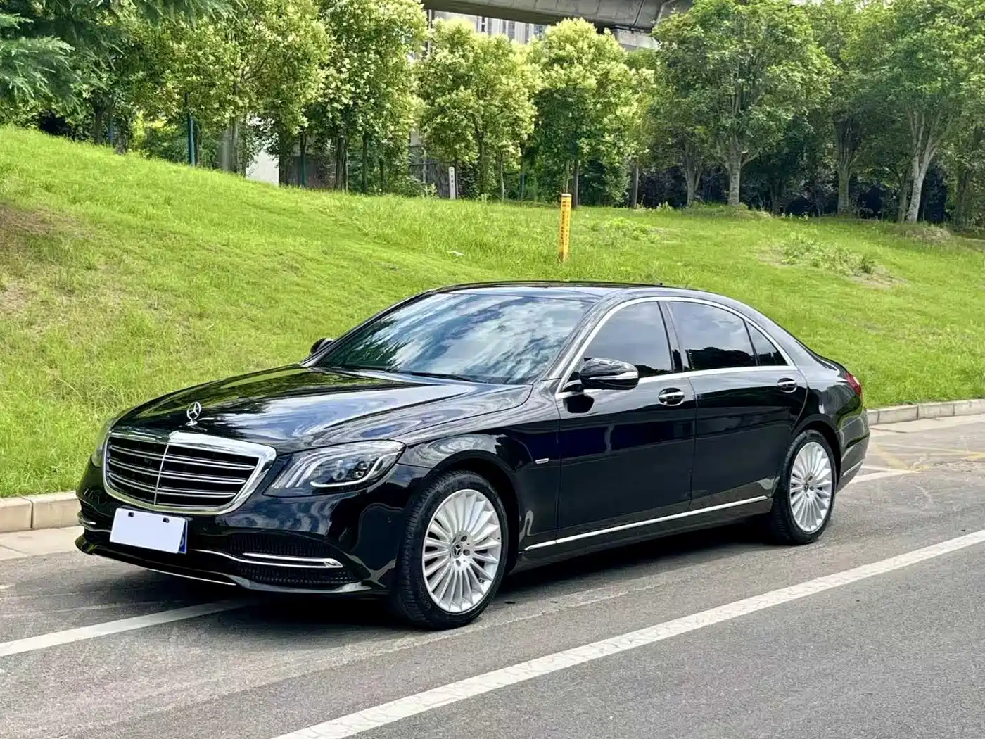 Mercedes-Benz S-Class 2020 S 350 L Premium Edition Collector's Version