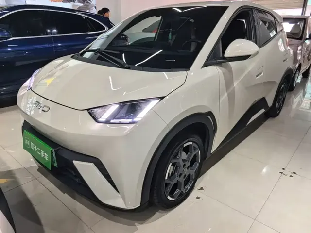 BYD Seagull 2025 305km Freedom