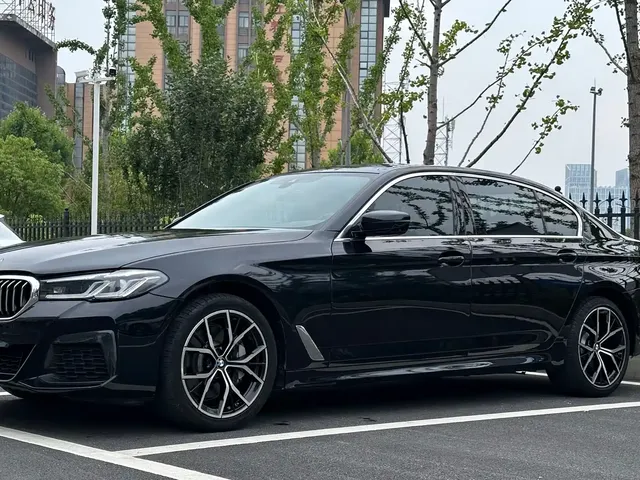 BMW 5 Series 2021 530Li Premium M Sport Package