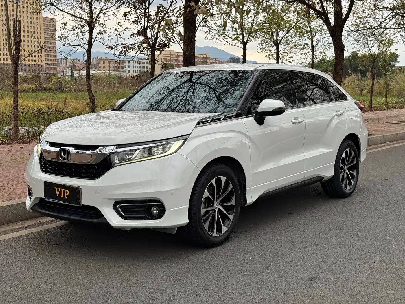 Honda Avancier 2019 240TURBO 2WD Luxury