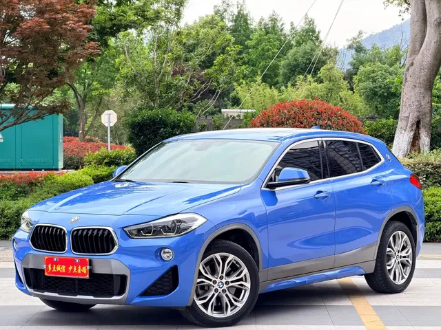 BMW X2 (Import) 2019 sDrive25i Luxury M Off-Road Package China VI