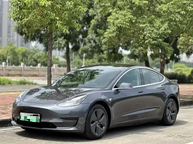 Tesla Model 3 2020 Facelift Standard Range RWD Upgrade