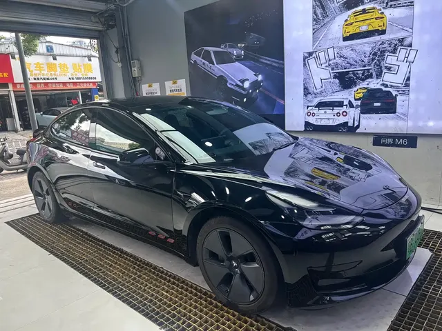 Tesla Model 3 2021 Standard Range Rear-Wheel Drive Upgrade