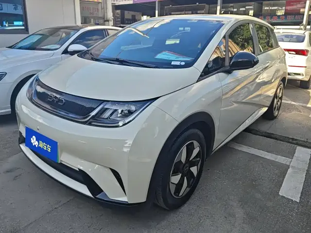 BYD Dolphin 2024 Glory Edition 420km Freedom Edition