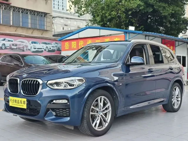 BMW X3 2018 xDrive25i M Sport Package China V