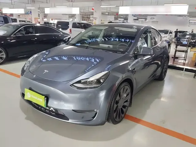 Tesla Model Y 2021 Performance High-Performance AWD