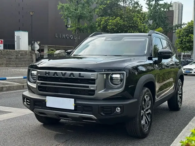 Haval Big Dog 2024 1.5T DCT Border Collie Edition
