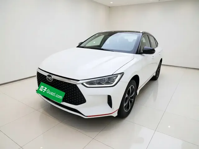 BYD e2 2020 Upgraded Long Range Luxury