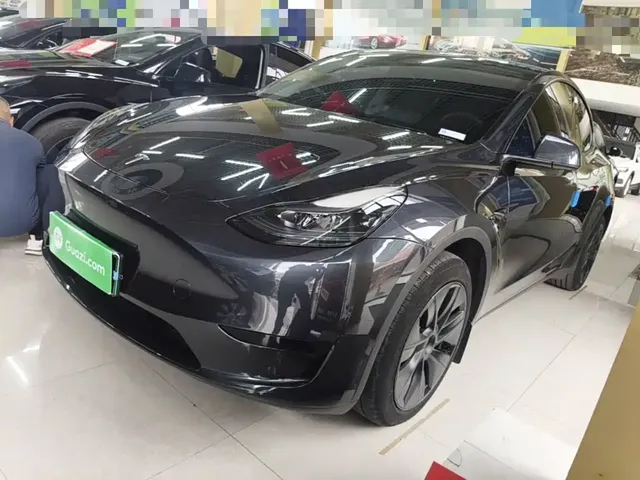 Tesla Model Y 2024 Rear-Wheel Drive Version