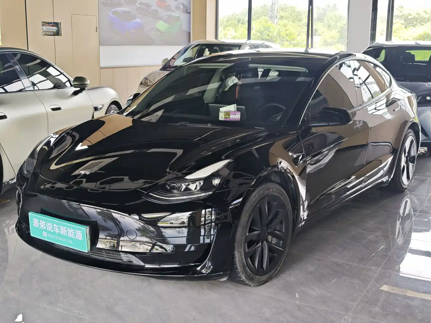 Tesla Model 3 2021 Standard Range Rear-Wheel Drive Upgrade 3D6