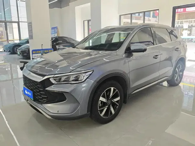 BYD Song Pro New Energy 2024 Glory Edition DM-i 71KM Pilot