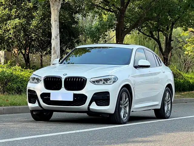 BMW X4 2019 xDrive25i M Sport Package
