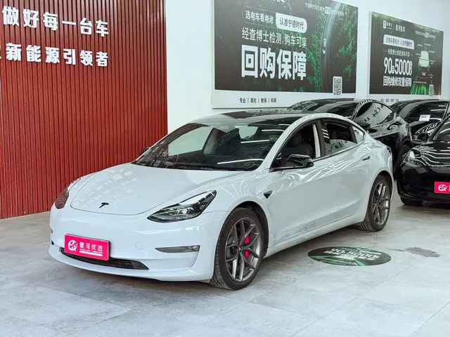 Tesla Model 3 2022 Performance High-Performance AWD