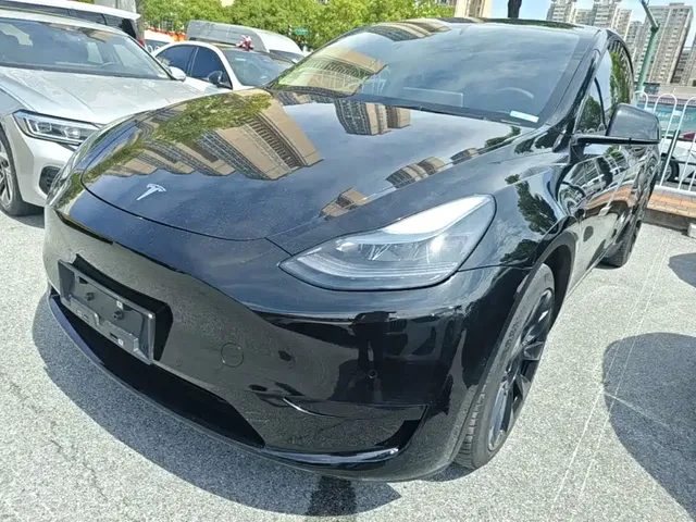 Tesla Model Y 2022 Rear-Wheel Drive Version