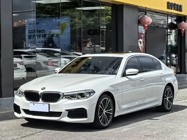 BMW 5 Series 2020 530Li Leading M Sport Package