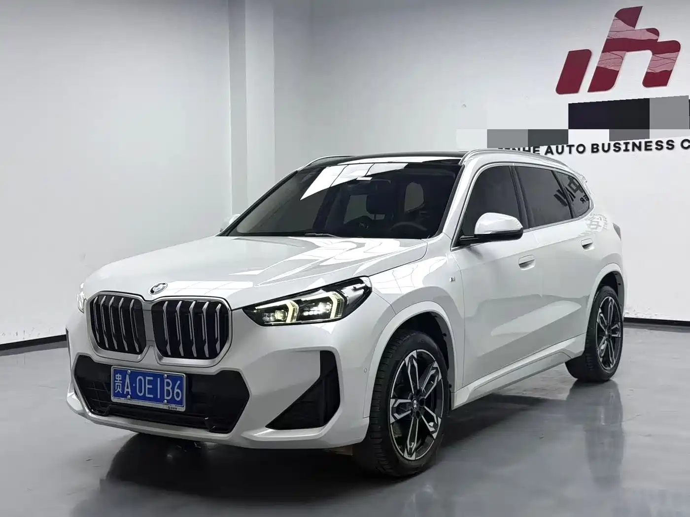 BMW X1 2024 sDrive25Li M Sport Package