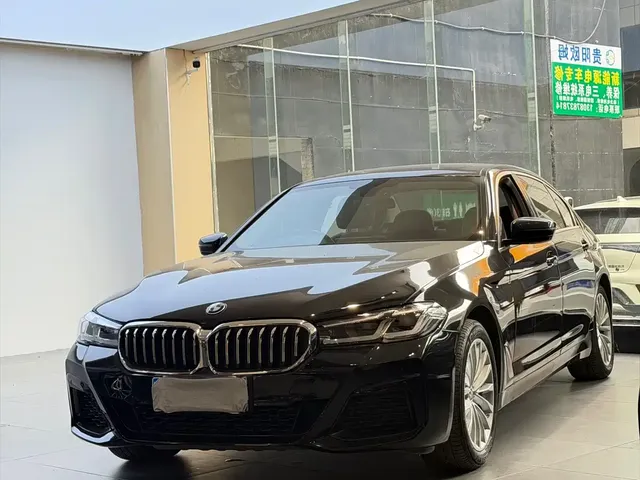 BMW 5 Series 2019 530Li Premium Luxury Package