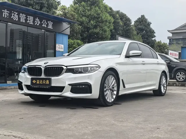 BMW 5 Series 2019 530Li Leading M Sport Package