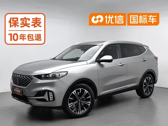 WEY VV6 2021 2.0T 2WD Smart Enjoyment+