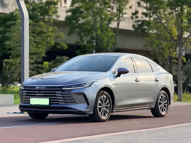 BYD Destroyer 05 2024 Glory Edition DM-i 55KM Luxury