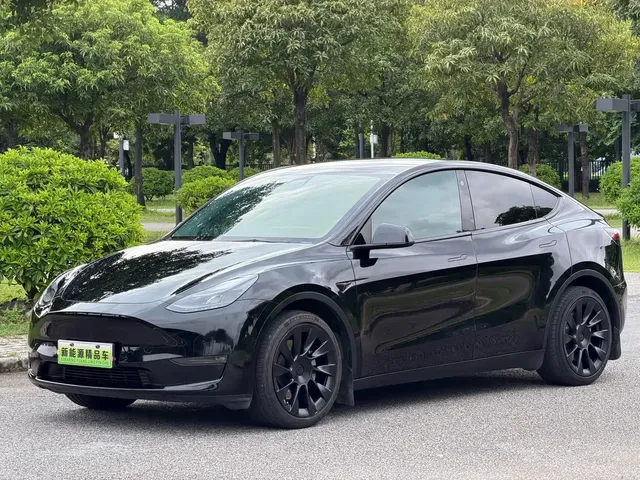 Tesla Model Y 2021 Standard Range Rear-Wheel Drive