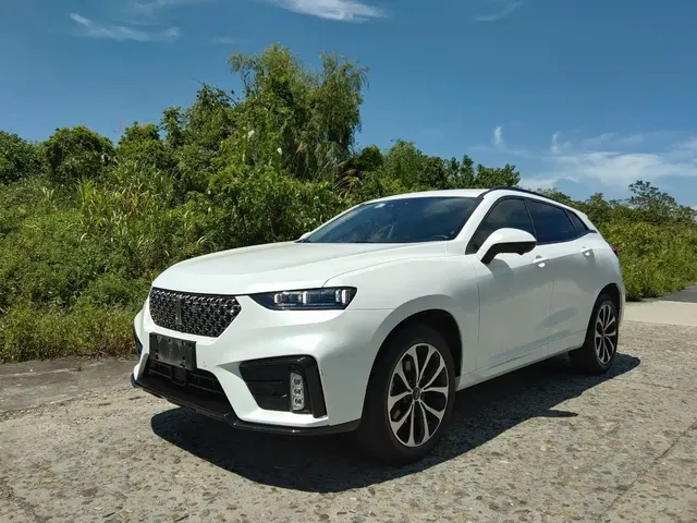 WEY VV7 2020 Model 2.0T Flagship