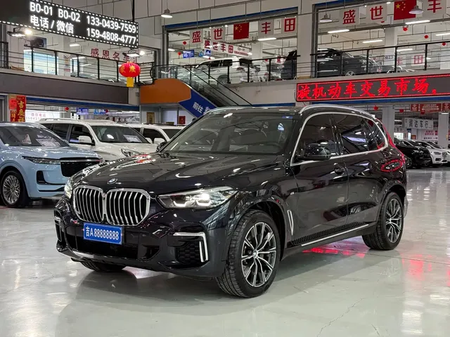 BMW X5 2022 xDrive 30Li M Sport Package