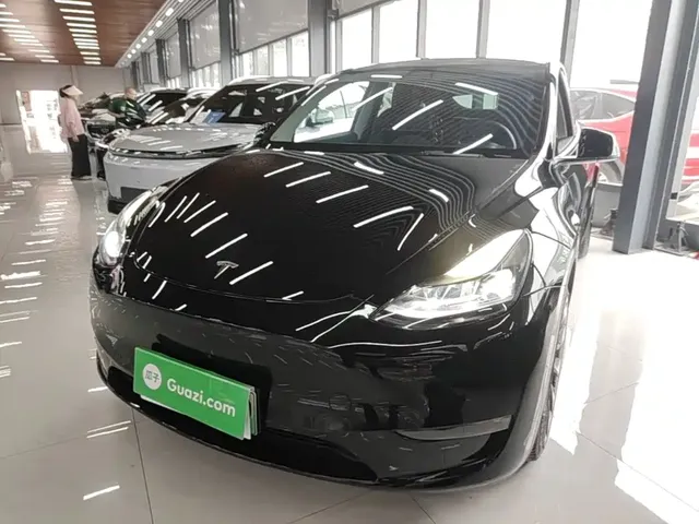 Tesla Model Y 2022 Rear-Wheel Drive Version