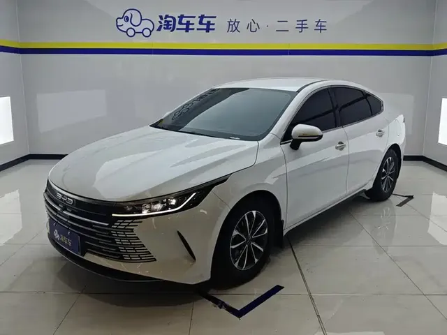 BYD Destroyer 05 2024 Glory Edition DM-i 55KM Luxury