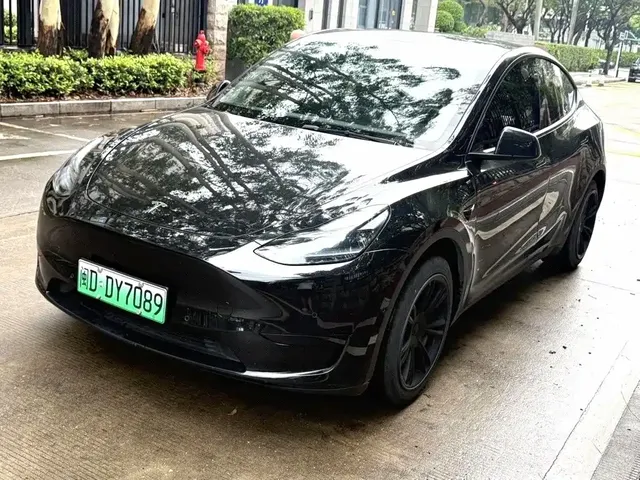 Tesla Model Y 2022 Rear-Wheel Drive Version