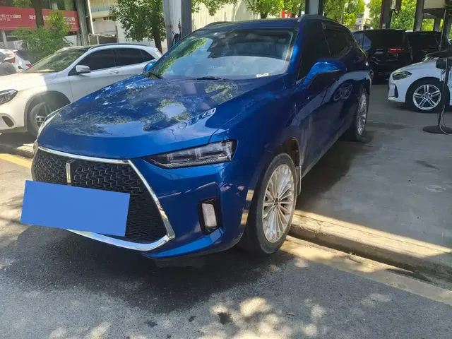 WEY P8 2018 2.0T Flagship Model