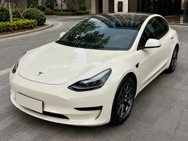 Tesla Model 3 2022 Model Rear-Wheel Drive Version