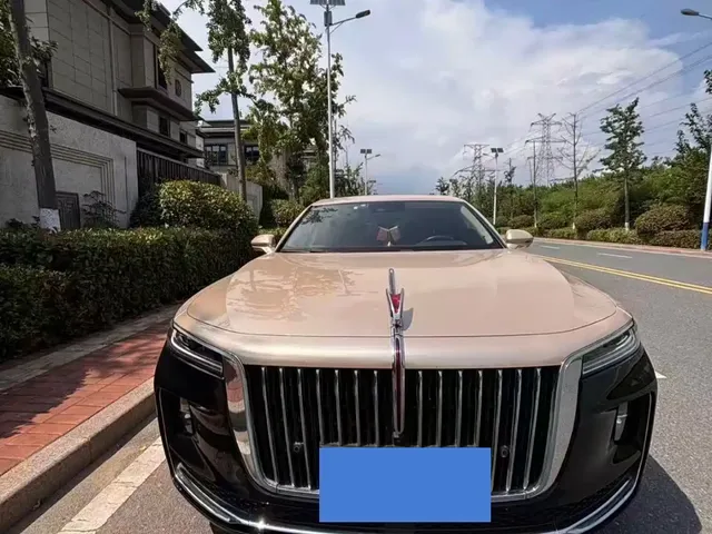 Hongqi H9 2020 2.0T Smart Connection Qi Chang Edition