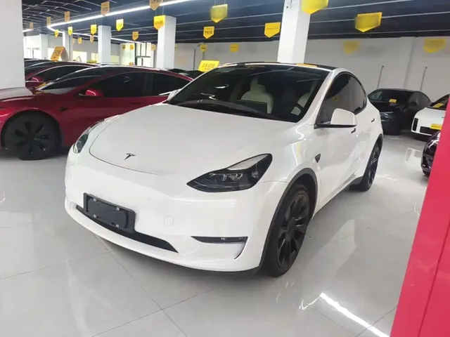 Tesla Model Y 2021 Long Range All-Wheel Drive 3D7